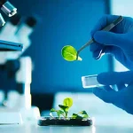 WASSCE: BIOLOGY-THEORY-2009-Q1-Q4